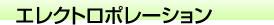 エレクトロポレーション